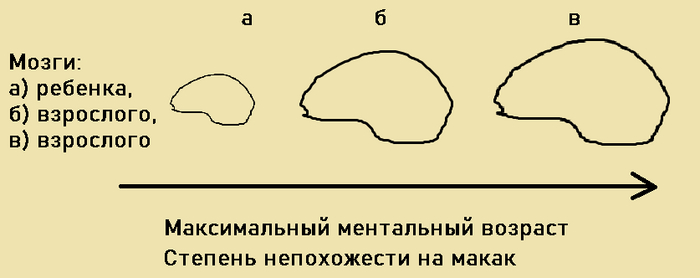   (  ) , , , ,  