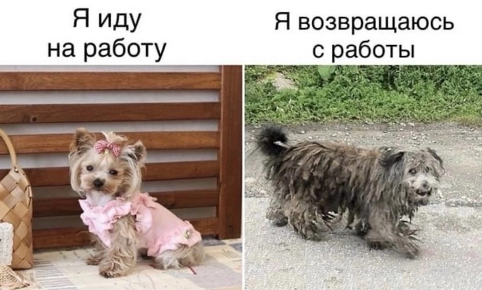   ? ,  , , ,  , , , ,   
