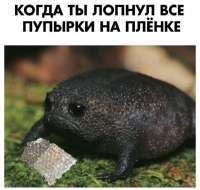 Пупырка кончилась :(