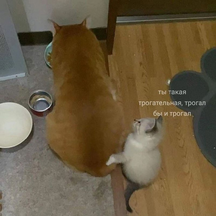 Очен трогательно