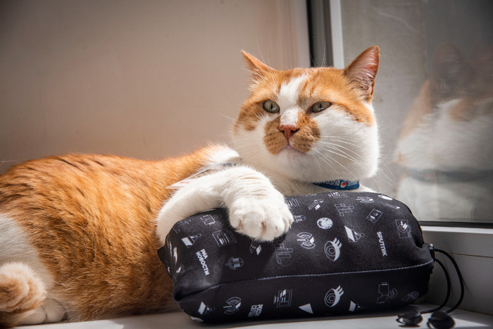 Я не толстый - это камера полнит.