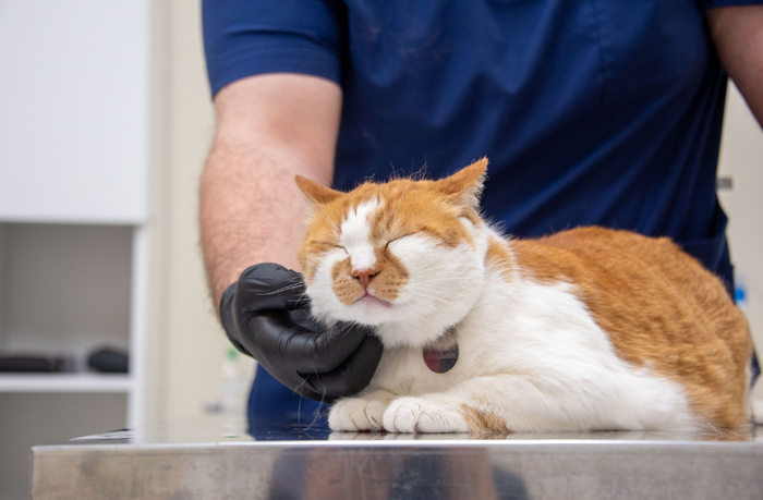 Я на приеме совершенно спокоен.