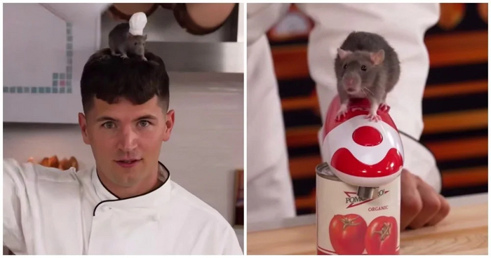 ������� ������ � ������ ���������� ����� �� ����������� ��������