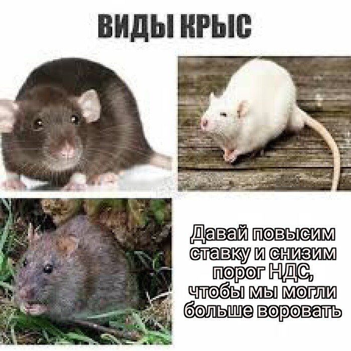    , , , , ,   , , 