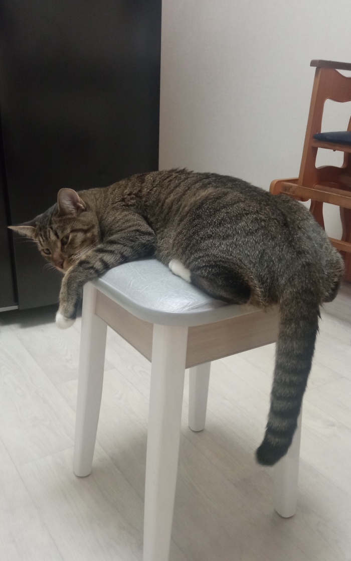  , ? , , 