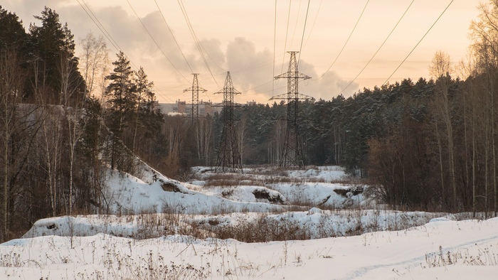 Заельцовский бор. Новосибирск