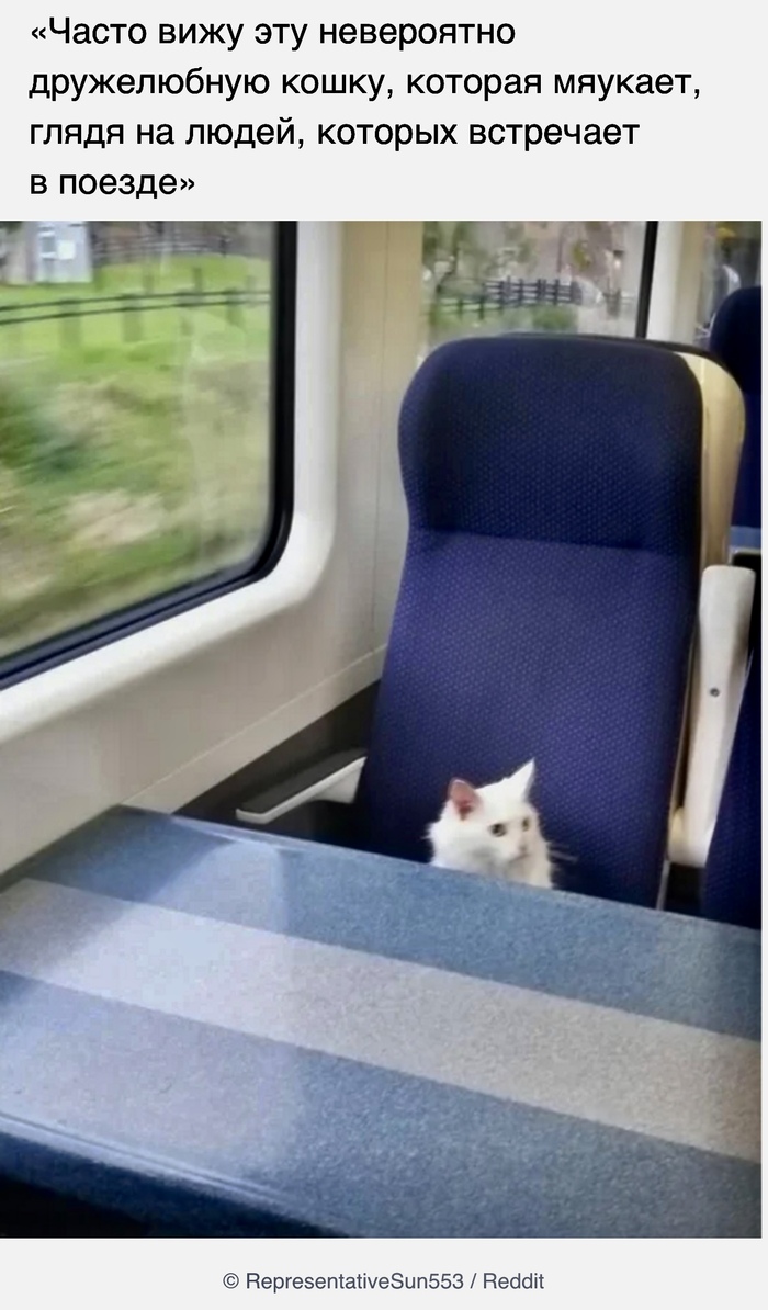 Общительный пассажир