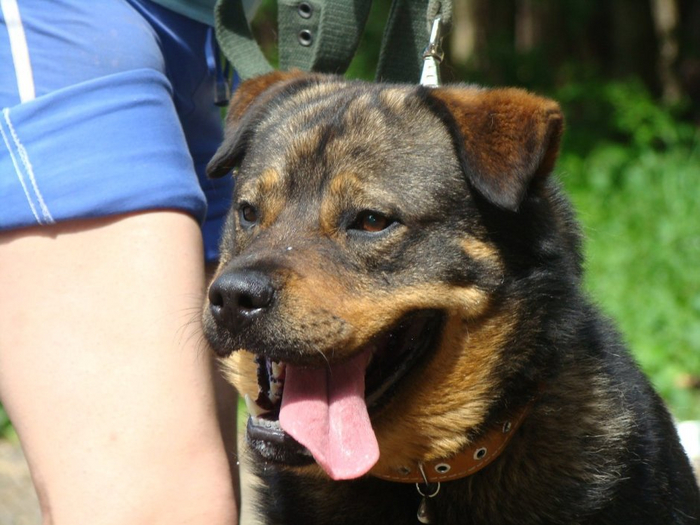 ,     .        :      -!