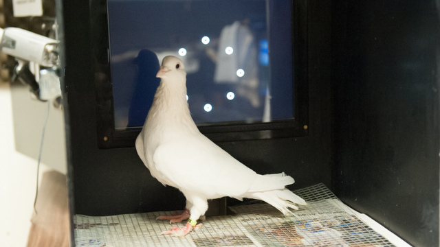 Я не обязан соответствовать вашим ожиданиям.