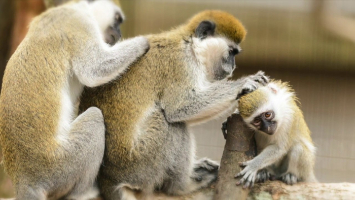 И как-то сразу полегче на душе стало.