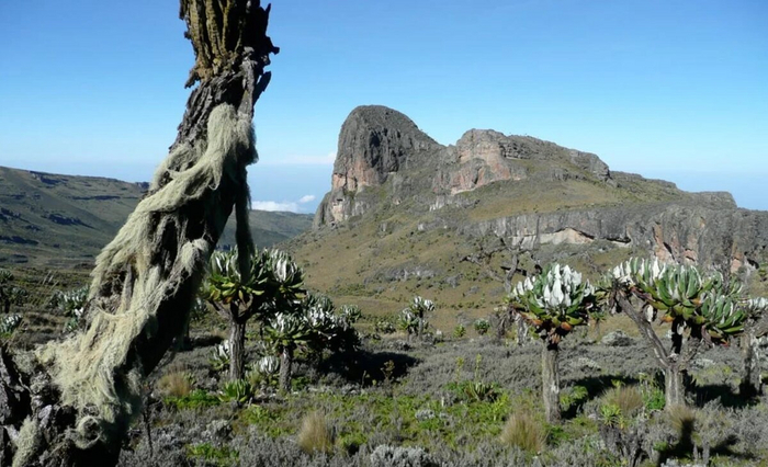      .      80 !         .