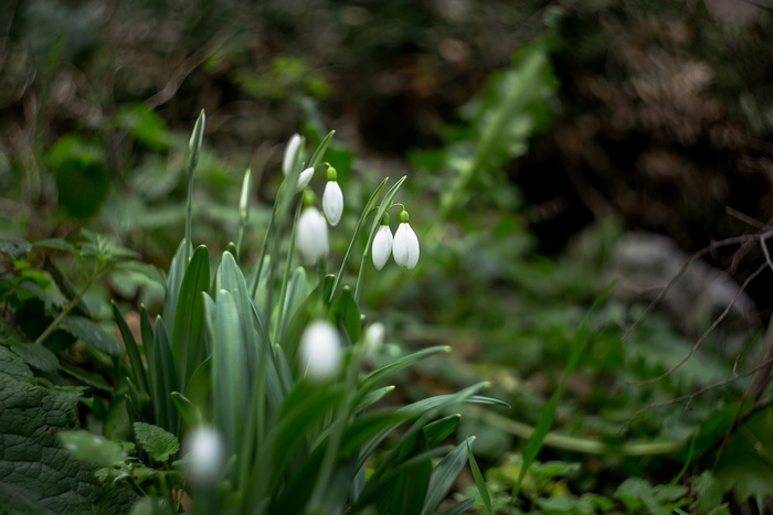 Фото Т. Антонюк.