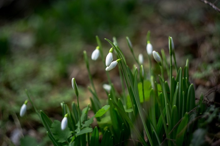 Фото Т. Антонюк.