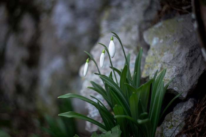 Фото Т. Антонюк.