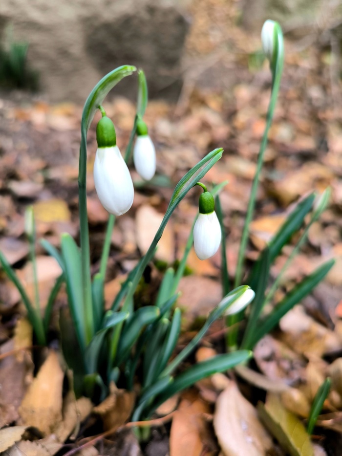 Фото Т. Карпенко.
