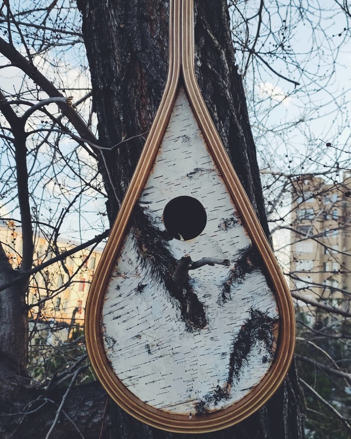 Скворешник.