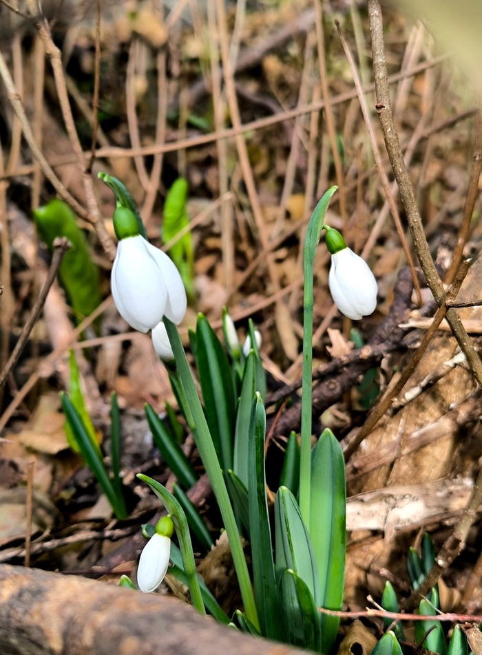 Фото Т. Карпенко.