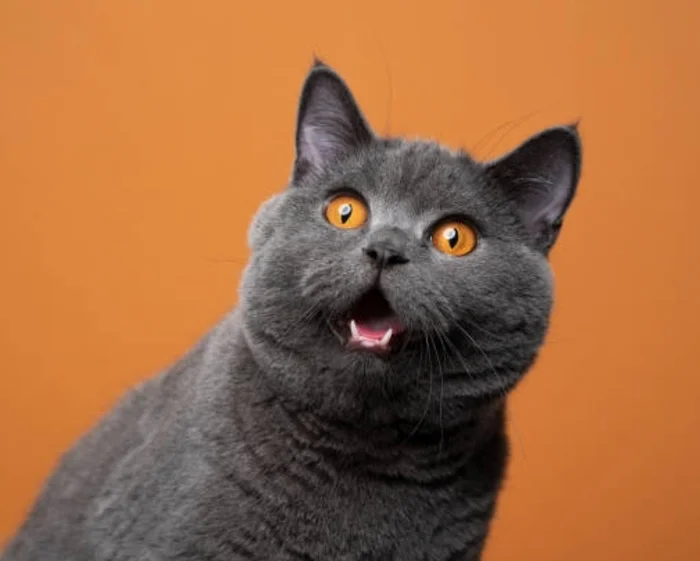 Am I the only one who pays attention to user*****? - My, Question, Ask Peekaboo, Problem