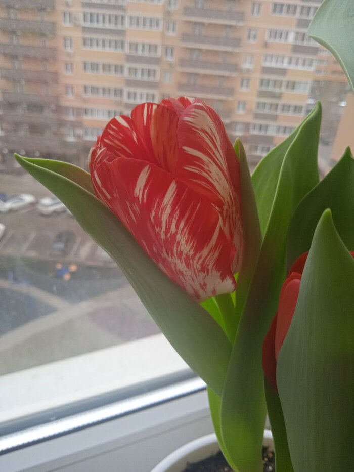       , , , , , , , 