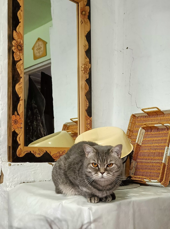 ������ �� ����...