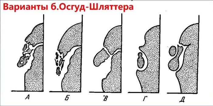  - , , , , , , , ,  , , , , , 