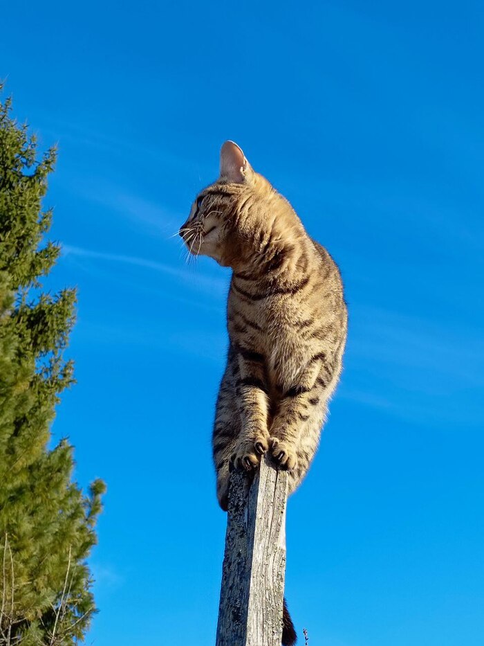   ""      ,   ,  , , 