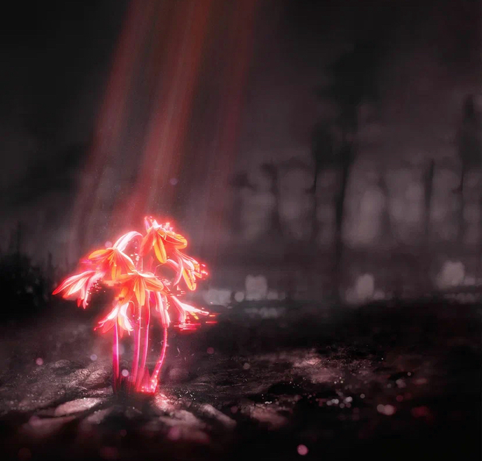   Enter Shikari 2023 A Kiss For The Whole World