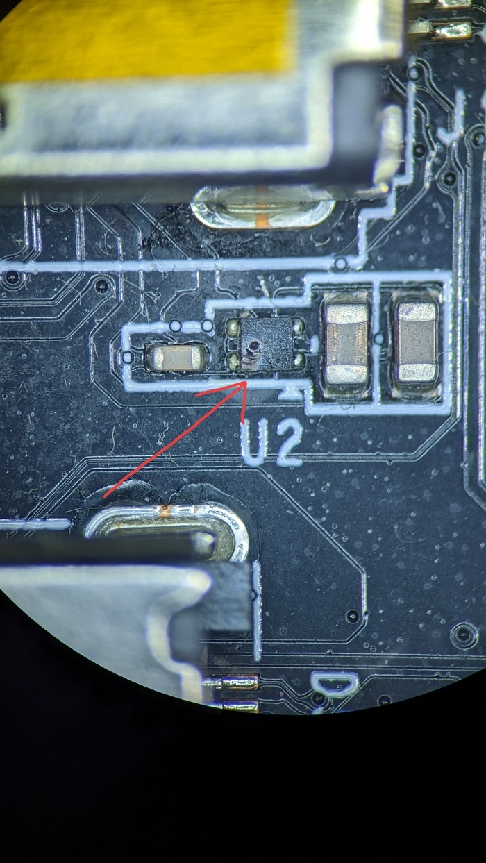 Размер этой блохи, кстати, около 1.5х2мм, но это на глаз прям