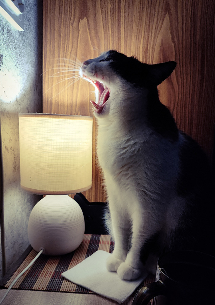 ���������