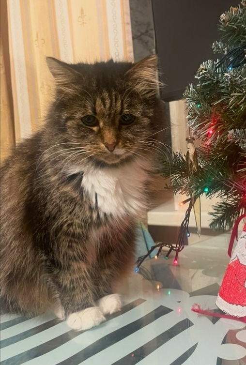 ������� �������!!! ���� ���-�� ���� ������ � ���� �� ������� �����, ���������� �������� �����!!!