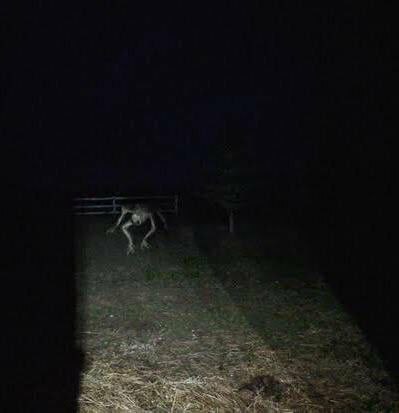 Многоэтажки-3. Часть XXVI