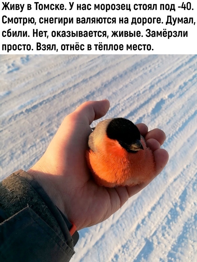    , , , , , 