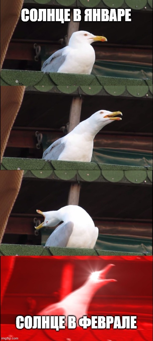       .     ,     , , , , ,  , , , , , , , , , 