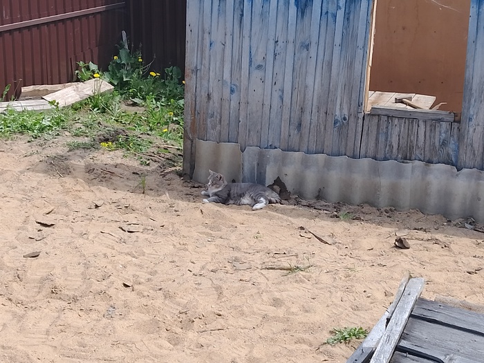 Прораб наблюдает как я сарай сношу