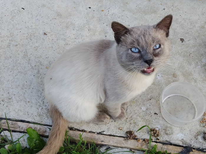 Ругается что пусто