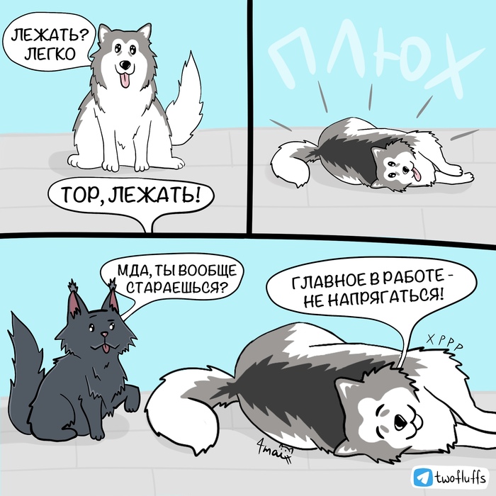 Мудрость маламута