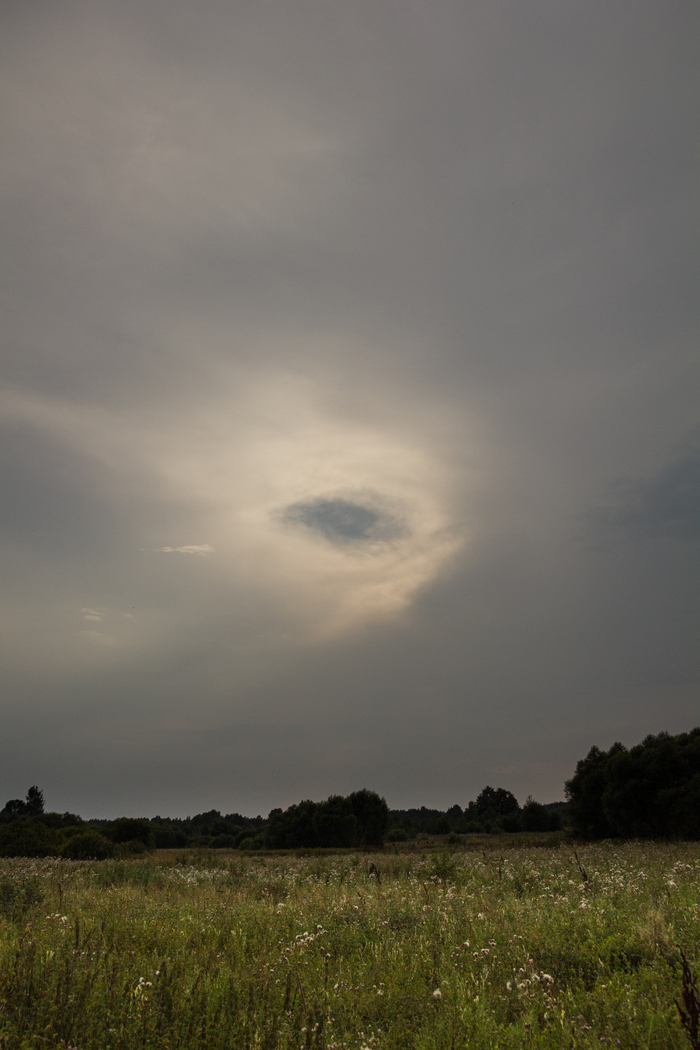 10 августа 2013 года, 17:44:08. Canon 550D + Tamron SP 17—50mm F/2.8 XR Di II A16E; f/5.6, 1/3200 c., ISO-400, ф. р. — 17 мм