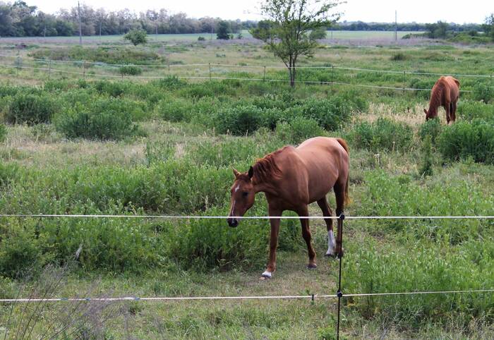 Посёлок Новонатальин.