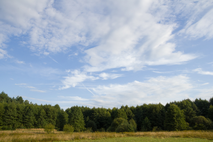 18 августа 2013 года, 18:42:39. f/16, 1/100 c., ISO-400, ф. р. — 17 мм