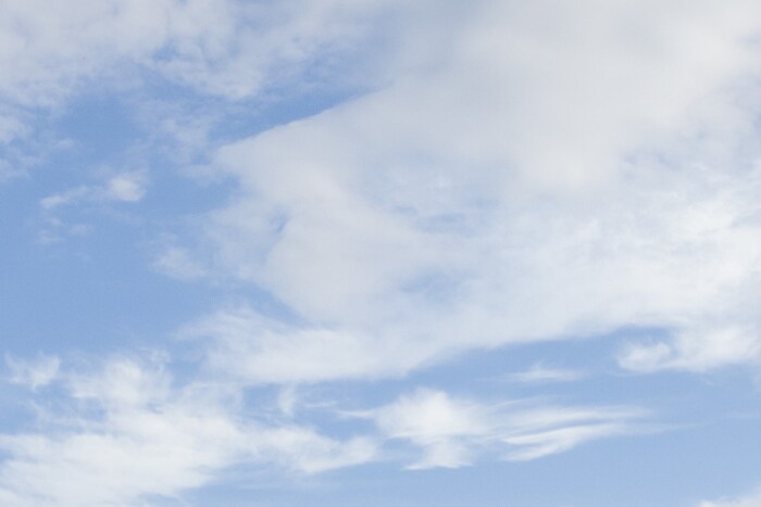 Она же, но поближе