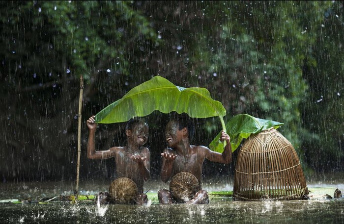 Страны, представляющие одну природную зону