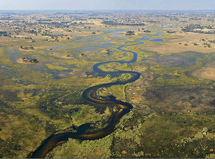 Дикая Ботсвана, вид сверху