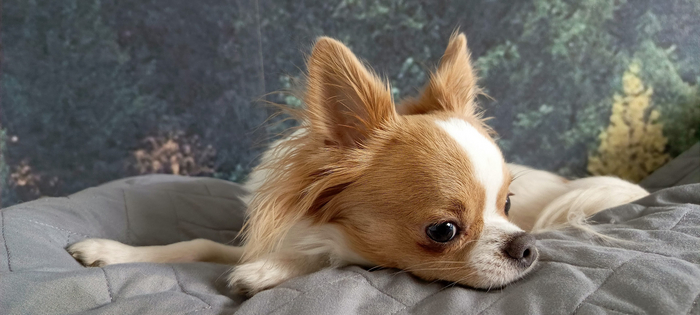 Ответ на пост «Скоро закончится зима и можно выходить из спячки...»