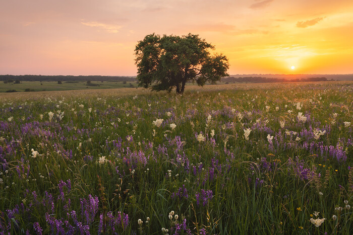 Лесостепь летом, осенью и зимой