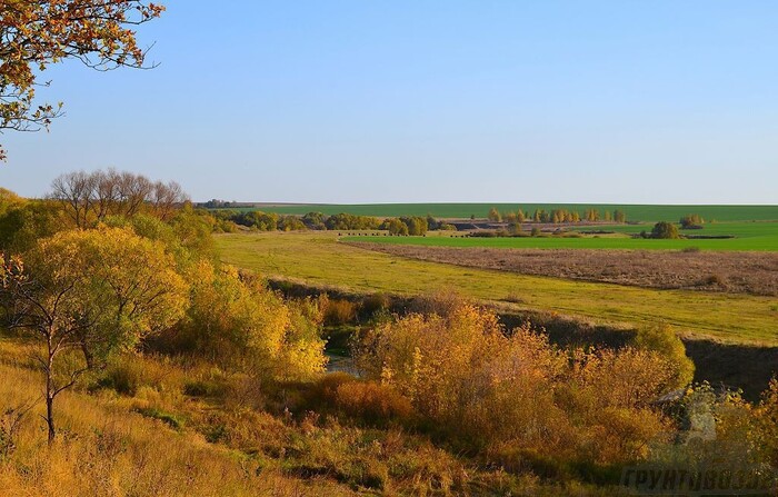 Страны, представляющие одну природную зону