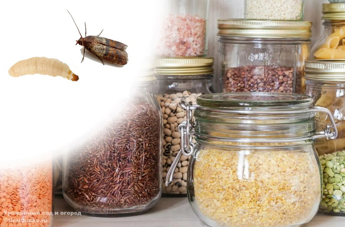 ���� ����� �����!