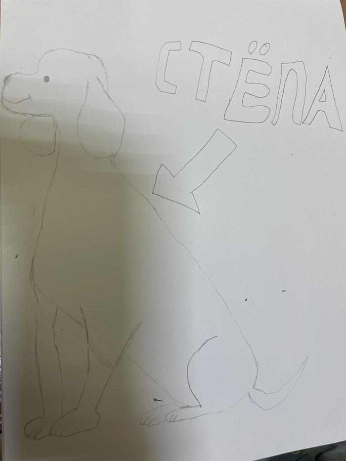 ϸ  , , 