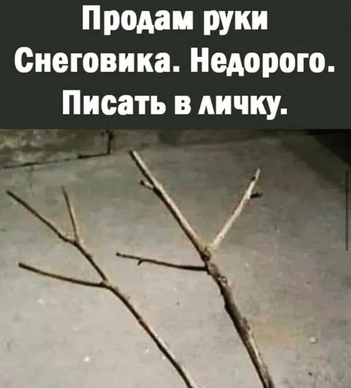  !   ?! , 31-35 , 26-30 , 36-40 , -, -,   , , , , ,  , Telegram ()