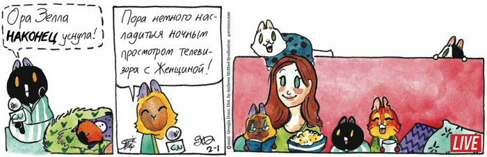 Котейкины Новости от 01.02.2025