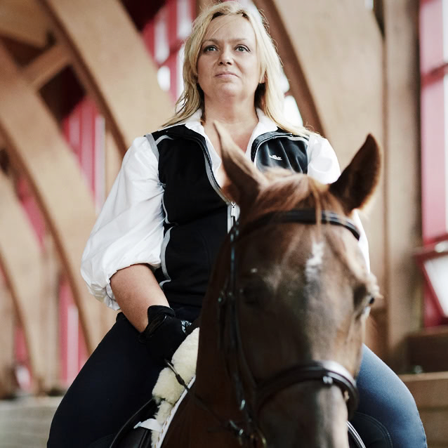    ,       ,      DeepSeek